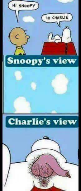 Snoopy Porn - Hi Snoopy. - Porn Viral